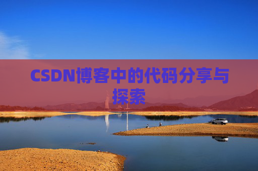 CSDN博客中的代码分享与探索